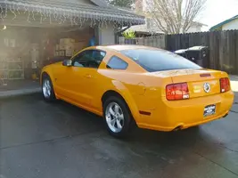 mustang back.webp
