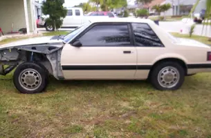 mustang updated pictures 089.webp