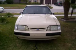 mustang updated pictures 105.webp