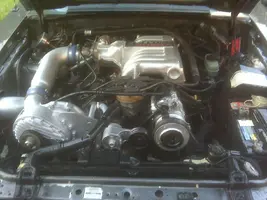 stang1.webp