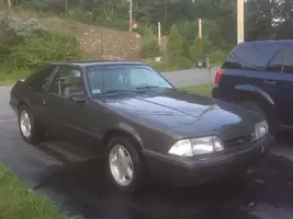 stang2.webp