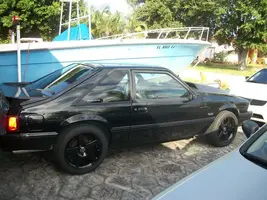 stang.webp