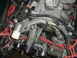 DSC04520.webp