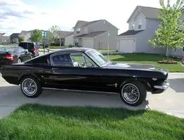 The Fastback.webp