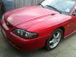 P01-29-11_13.47.webp