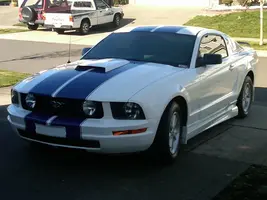 2005 Mustang Pic Striped.webp