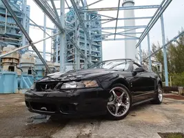 cobra 084.webp