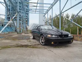 cobra 079.webp