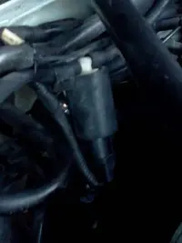 mustang mystery part.webp