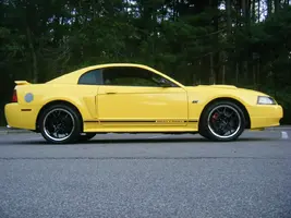 mustang small.webp