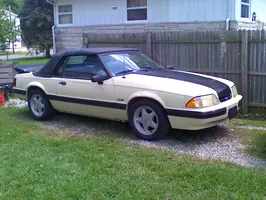 89 lx.webp