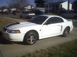 Mustang.webp