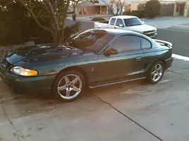 cobra2.webp