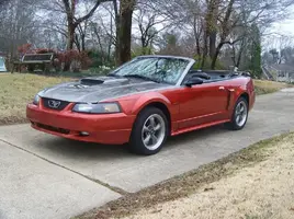 new mustang 001.webp