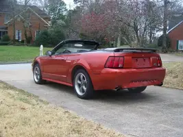 new mustang 003.webp
