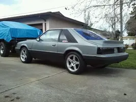 stang2.webp