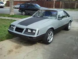 stang1.webp