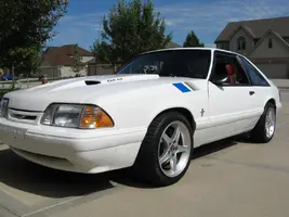 mustang2.webp