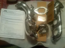 Complete set.webp