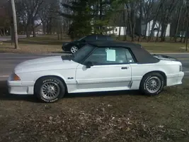 Mustang.webp