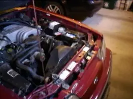 mustang a.webp