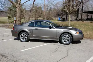 mustang.webp