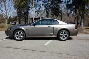 mustang1.webp