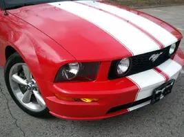stang_front.webp