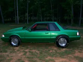 Mustang 001.webp
