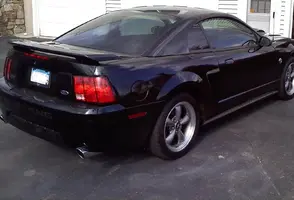tint rear.webp