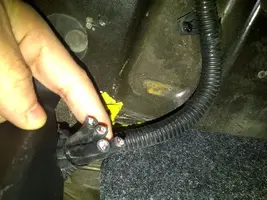 trunk-wires-extra (Medium).webp
