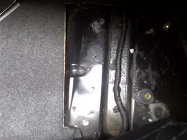 trunk-carpet-cut (Medium).webp