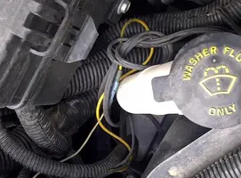 more-wires (Medium).webp
