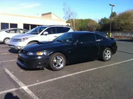 stang #1.webp