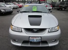 mustang 4.webp