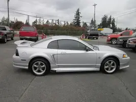 mustang.webp