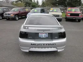 mustang 5.webp