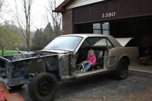 mustang.webp
