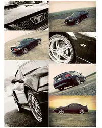Untitled-4.webp