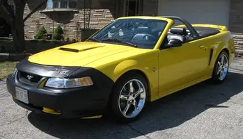 Pony1.webp