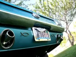 MUSTANG 1.webp