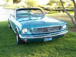 MUSTANG 3.webp