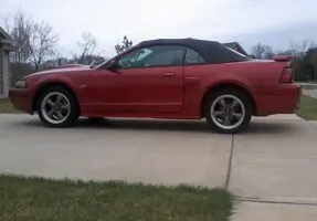 Side stang.webp