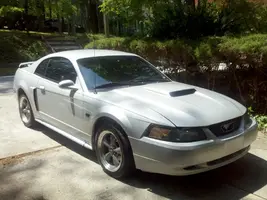 Mustang.webp