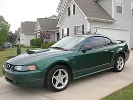 MustangOld.webp