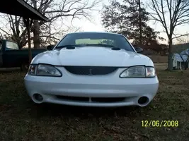 cobra1.webp