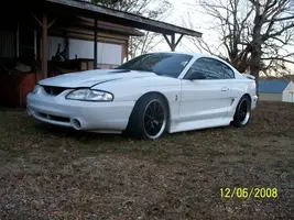 cobra6.webp