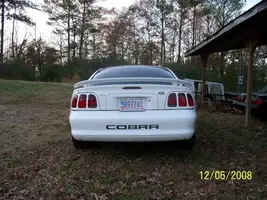 cobra4.webp