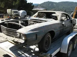 shelby2.webp