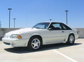 mustang177.webp
